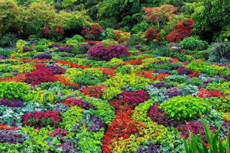 Bedafgrænsning som kunstform: Eksempler på innovative og spektakulære bede