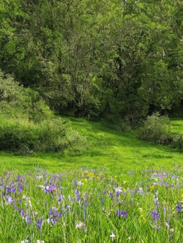 Fem naturlige behandlingsmetoder til at reducere nedsunken forfod