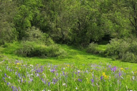 Fem naturlige behandlingsmetoder til at reducere nedsunken forfod