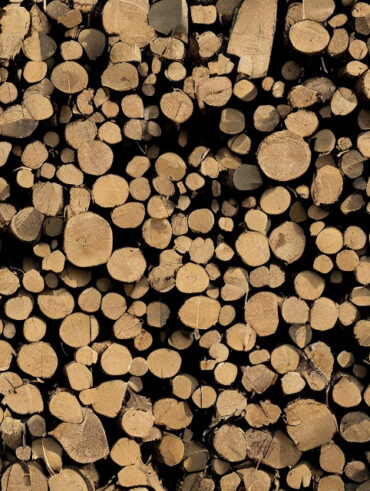 Fra træ til lægter: En rejse gennem produktionsprocessen