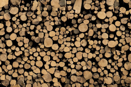 Fra træ til lægter: En rejse gennem produktionsprocessen