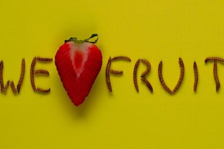 Undgå madspild: Sådan organiserer du dit køleskab effektivt