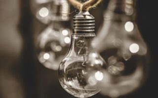 Grøn omstilling i praksis: Sådan får din virksomhed succes med bæredygtighed