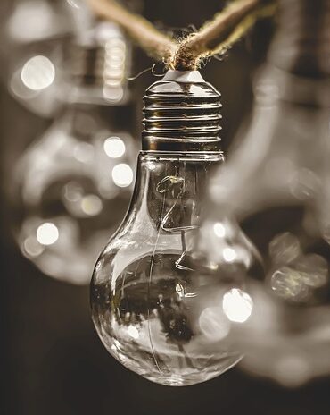 Grøn omstilling i praksis: Sådan får din virksomhed succes med bæredygtighed