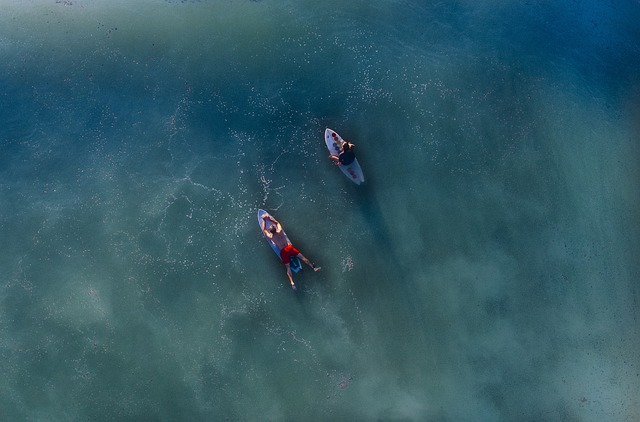 Få en uforglemmelig oplevelse på vandet med Paddleboard fra vidaXL