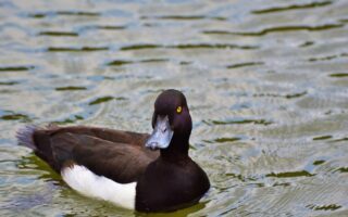 5 fejl du skal undgå med din aldersopsparing