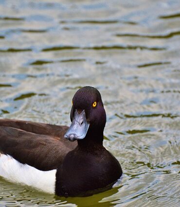 5 fejl du skal undgå med din aldersopsparing