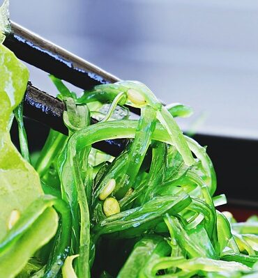 Sund og lækker: Opdag de bedste sushisæt til en sund livsstil