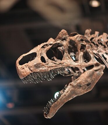 Skab en eventyrlig atmosfære med dinosaur sengetøj til børneværelset