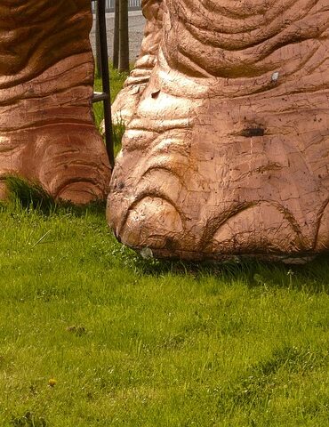 Fra medicin til dekoration: Elefantfodens mange anvendelsesmuligheder