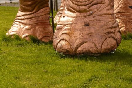 Fra medicin til dekoration: Elefantfodens mange anvendelsesmuligheder