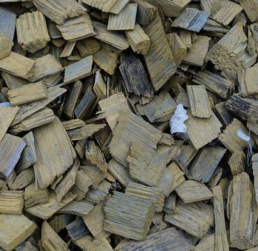 Hortus' Træfliser: En miljøvenlig og elegant løsning til din have