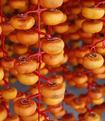 Outwell tørrestativ: Den ultimative løsning til camping og udendørs tørring