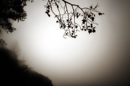 Fugerensning: Sådan undgår du de mest almindelige fejl