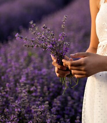 Rørbukkerens farver og mønstre: En æstetisk undersøgelse af deres udseende