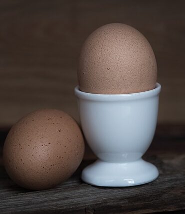 1) Den ultimative guide til Æggebægere: Hvordan vælger du den rette til dit behov?