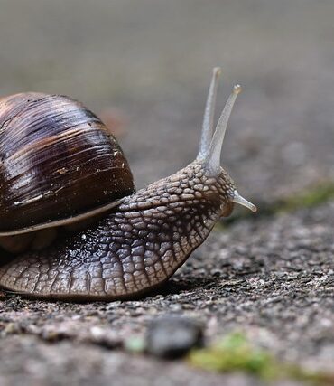 Slime DIY: How to Make Your Own Customized Slime Creations