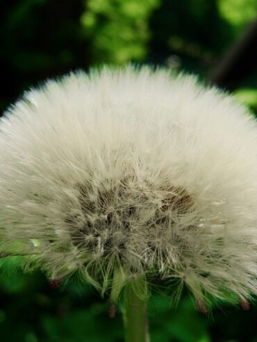 Sådan vælger du den perfekte morgenkåbe til din personlige stil