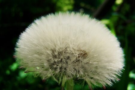 Sådan vælger du den perfekte morgenkåbe til din personlige stil