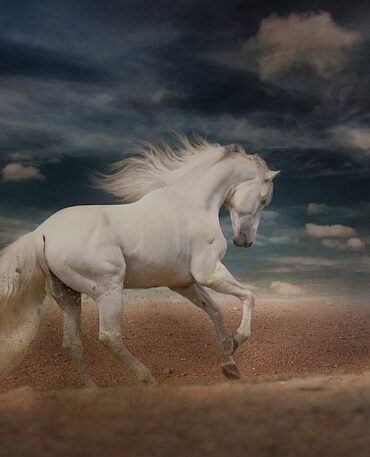 Få et støvfrit hjem med Swiffer støvkosten