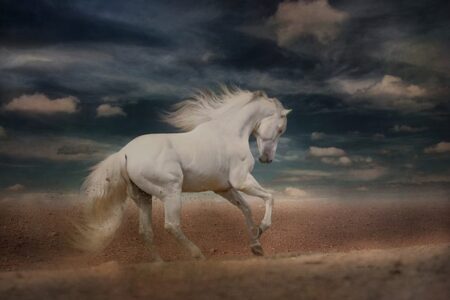 Få et støvfrit hjem med Swiffer støvkosten