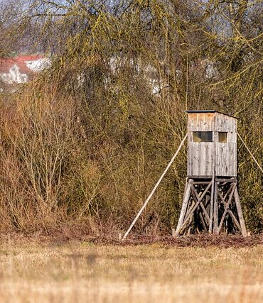 Undgå rod på gulvet: Vælg den rigtige juletræsfod
