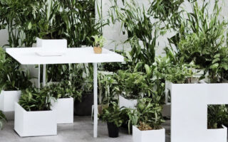Minimalistisk plantebord-design: Inspiration til en moderne indretning