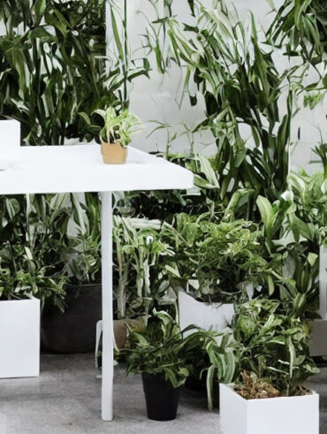 Minimalistisk plantebord-design: Inspiration til en moderne indretning