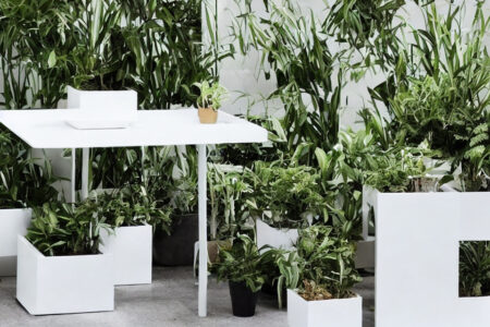 Minimalistisk plantebord-design: Inspiration til en moderne indretning